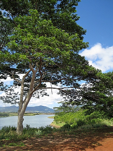 Hawaii0048
