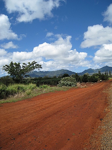 Hawaii0051