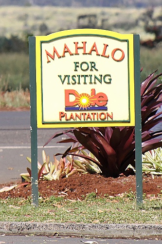Hawaii0057
