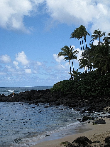 Hawaii0063