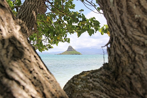 Hawaii0085