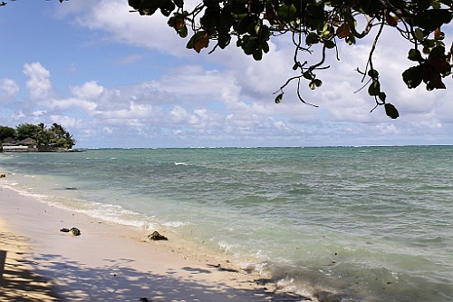 Hawaii0086