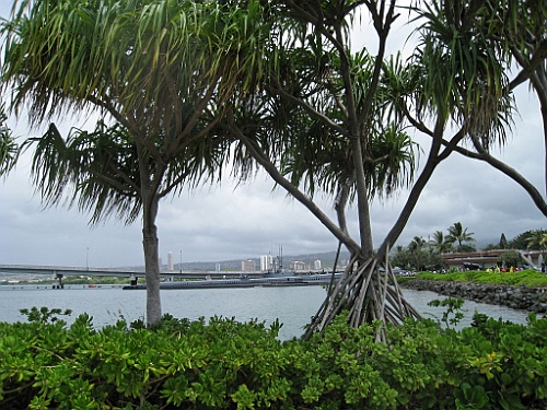 Hawaii0149