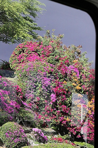 Hawaii0230