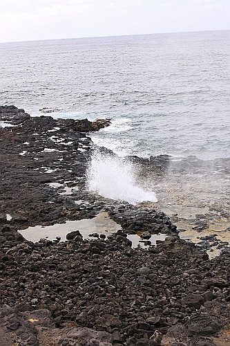 Hawaii0263