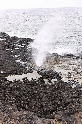 Hawaii0264