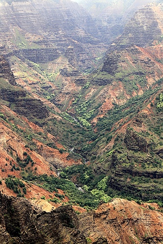 Hawaii0276