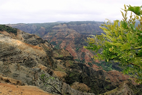 Hawaii0279