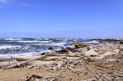 Hawaii0290