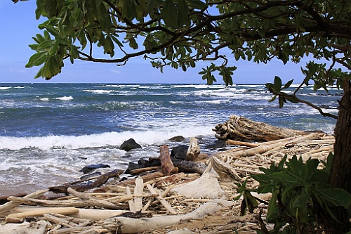 Hawaii0291