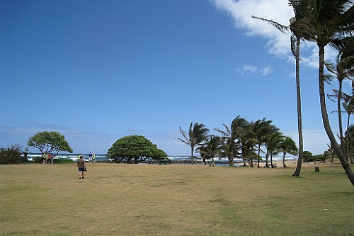 Hawaii0293