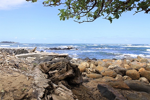 Hawaii0298