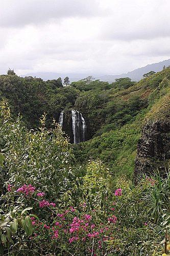 Hawaii0333