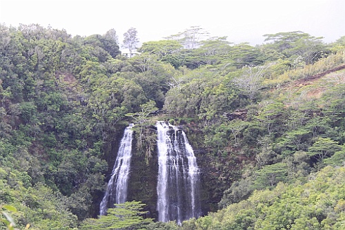 Hawaii0335