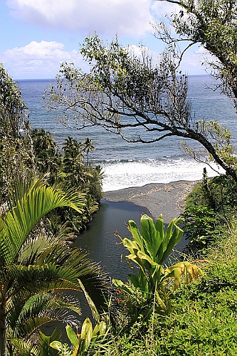 Hawaii0367