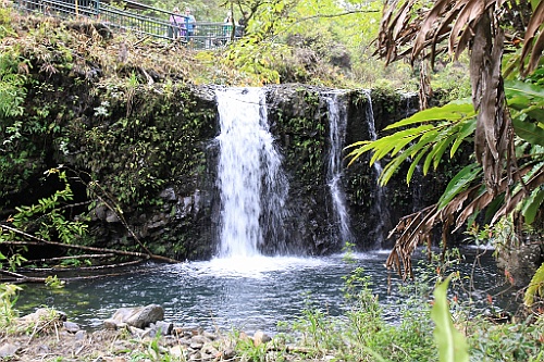 Hawaii0371