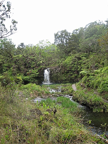 Hawaii0372