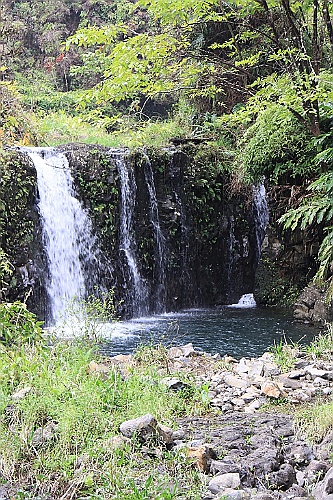 Hawaii0373