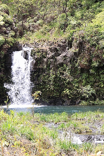 Hawaii0374