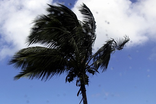 Hawaii0377