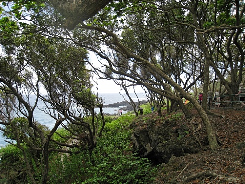 Hawaii0381