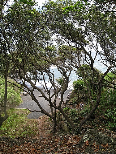 Hawaii0382