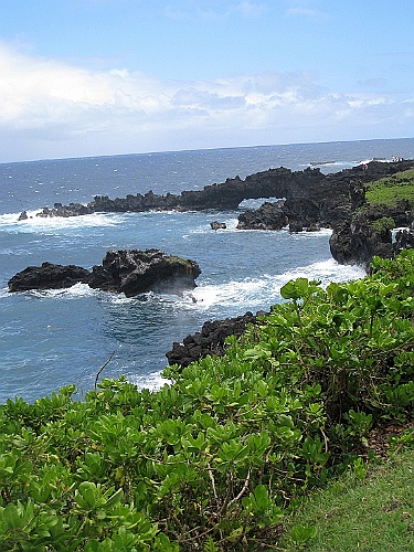Hawaii0385