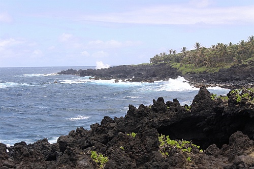 Hawaii0394