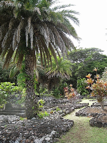 Hawaii0406