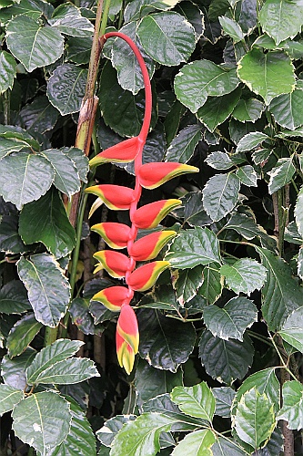 Hawaii0409