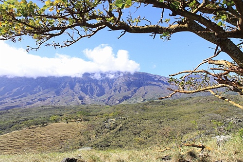 Hawaii0416