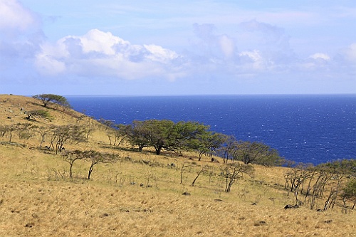 Hawaii0419