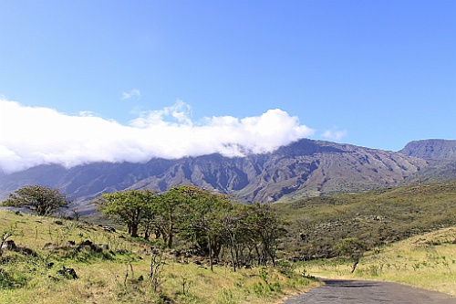 Hawaii0422