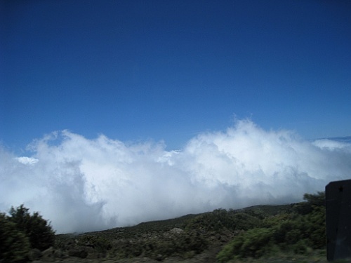 Hawaii0447