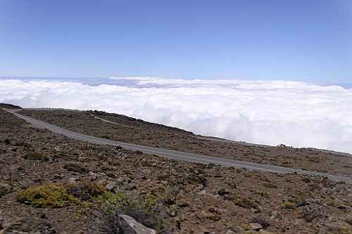 Hawaii0452