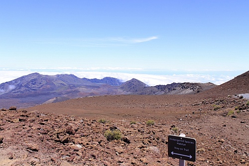 Hawaii0455