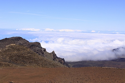 Hawaii0461