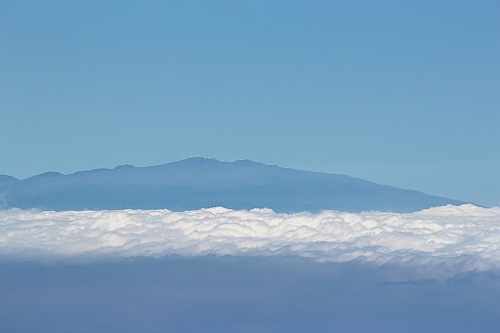 Hawaii0462