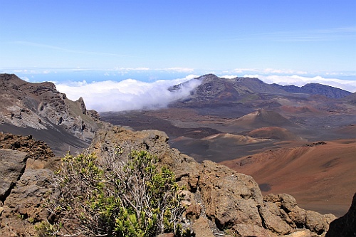 Hawaii0473