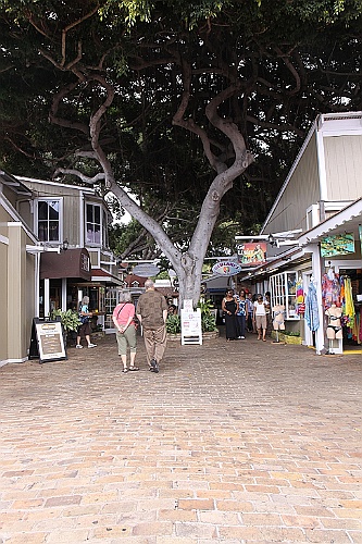 Hawaii0477