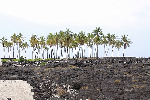 Hawaii0523