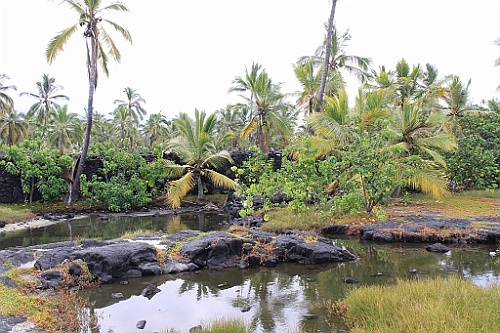 Hawaii0524