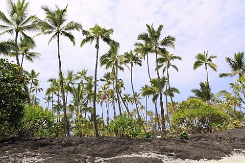 Hawaii0526
