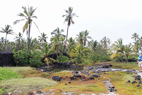 Hawaii0532