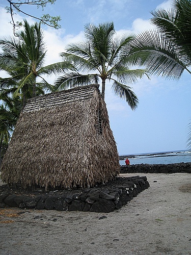 Hawaii0533