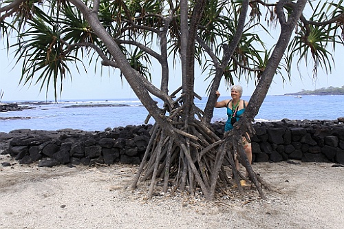 Hawaii0534