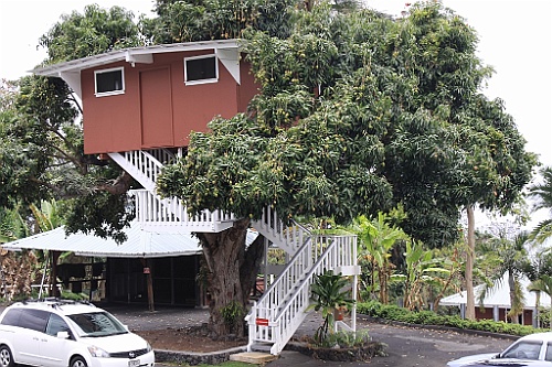 Hawaii0543