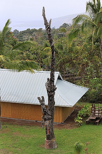 Hawaii0544