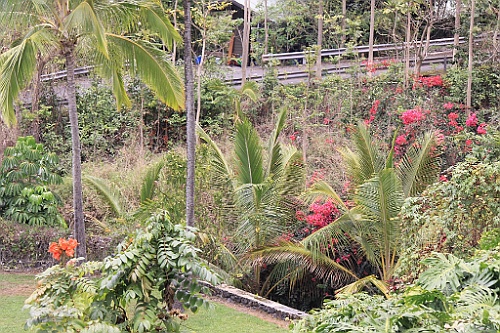 Hawaii0546