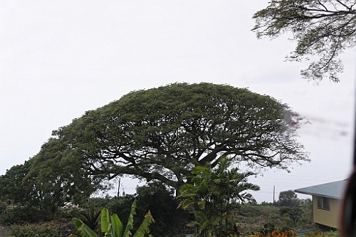Hawaii0552